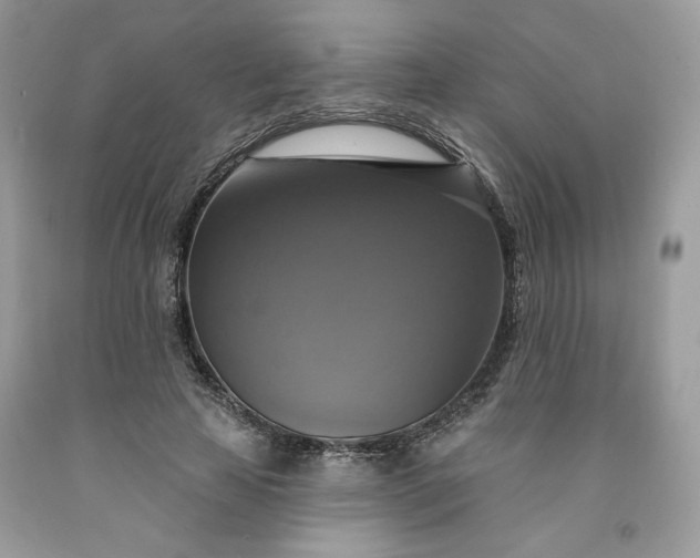 X0000091640641200709060938