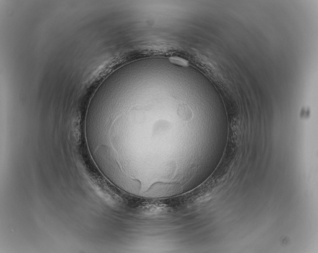 X0000091640642200709060938
