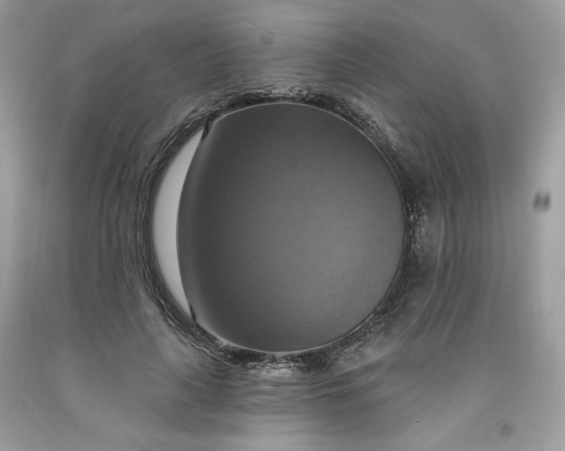 X0000091640643200709060938