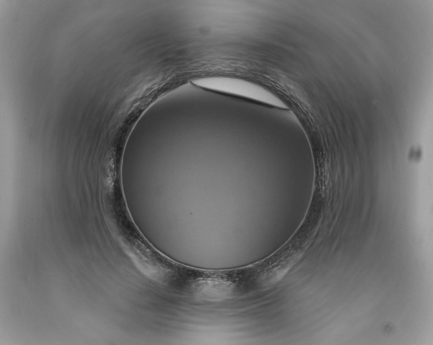 X0000091640644200709060938