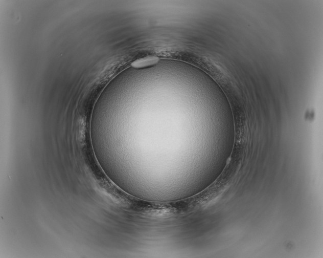X0000091640646200709060938