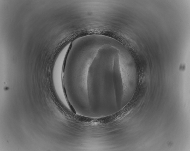 X0000091640647200709060938