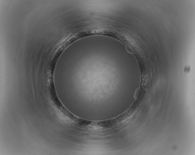 X0000091640648200709060938