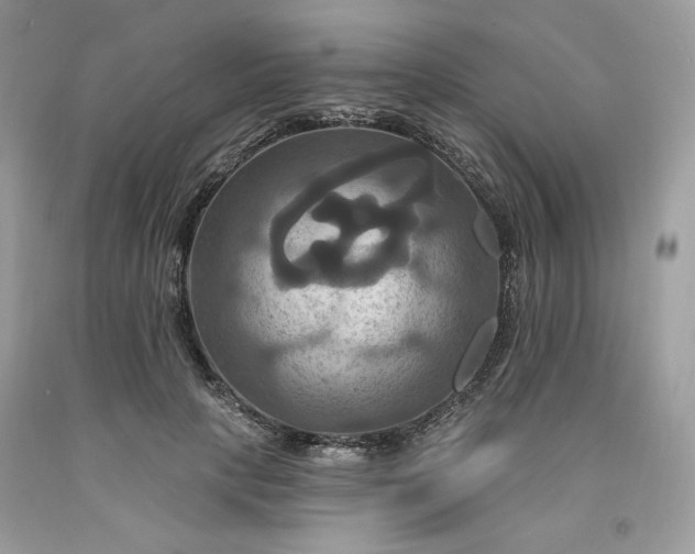 X0000091640649200709060938