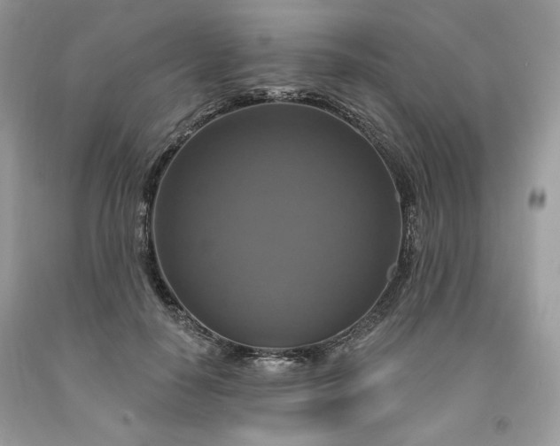 X0000091640650200709060939