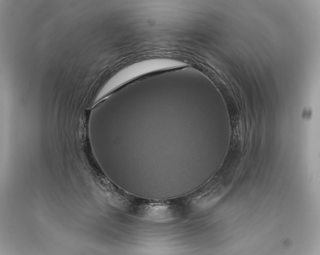 X0000091640651200709060939