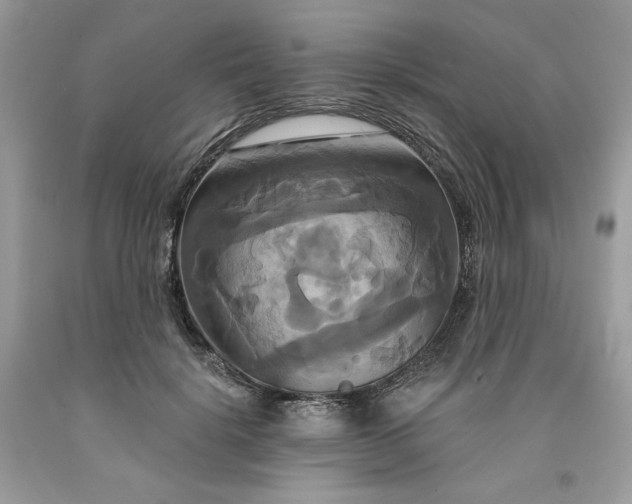 X0000091640652200709060939