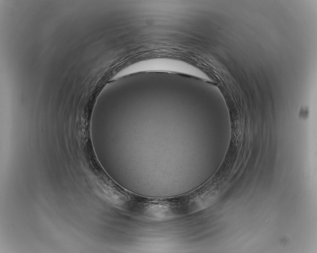 X0000091640653200709060939