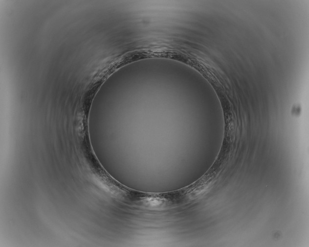 X0000091640654200709060939