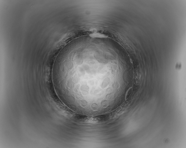 X0000091640656200709060939