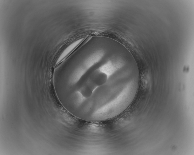 X0000091640657200709060939