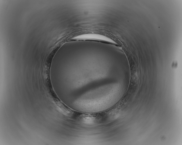 X0000091640658200709060939