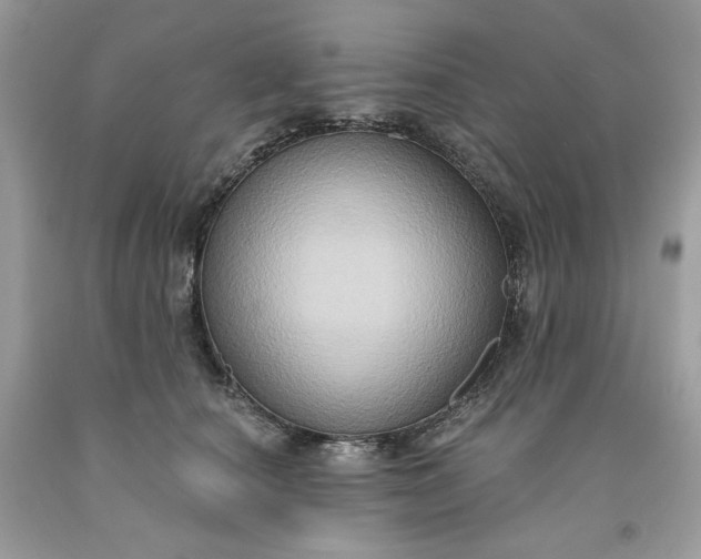 X0000091640660200709060939
