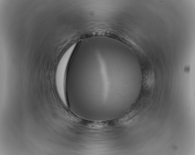 X0000091640661200709060939