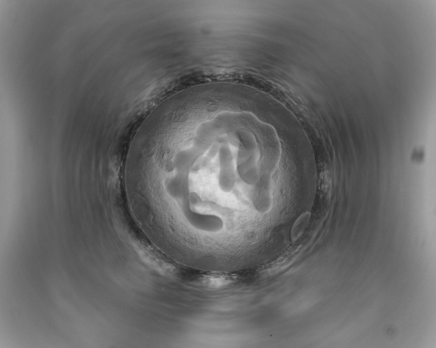X0000091640662200709060939