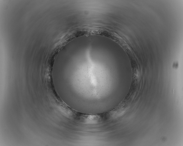 X0000091640663200709060939