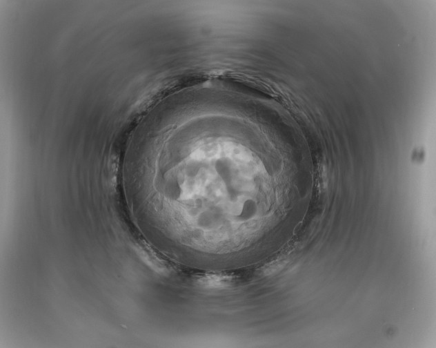 X0000091640664200709060939
