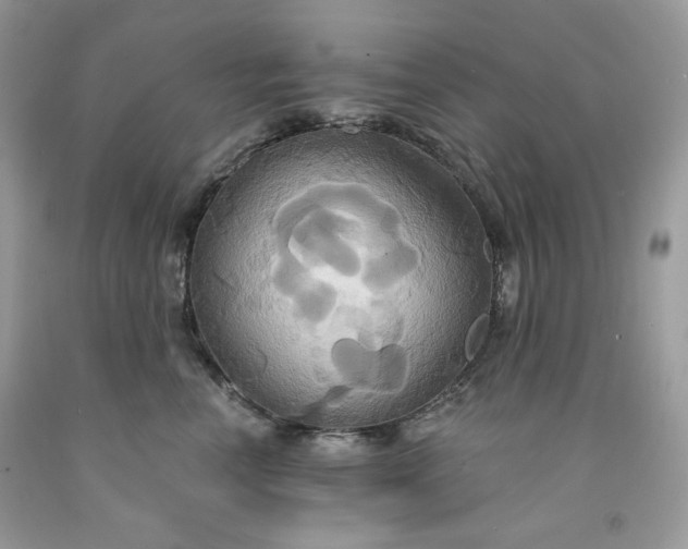 X0000091640666200709060939