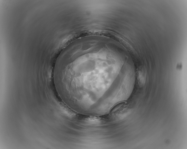 X0000091640668200709060939