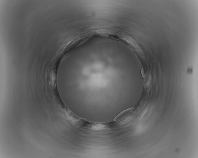 X0000091640669200709060939