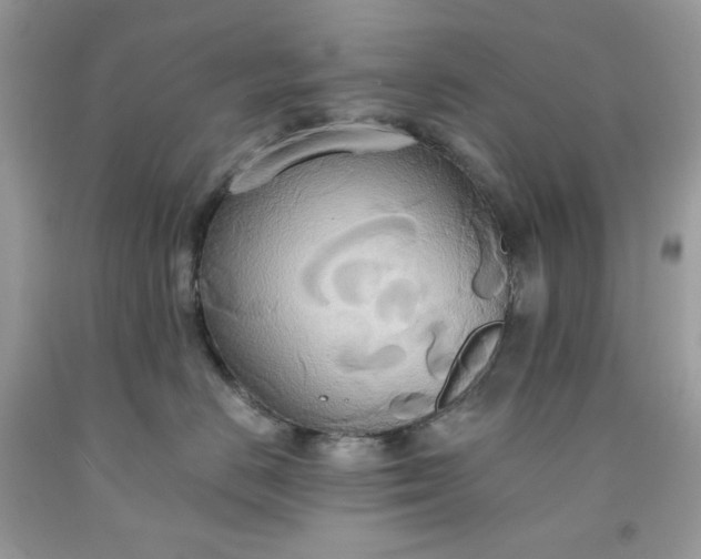 X0000091640670200709060939