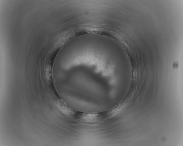 X0000091640671200709060939