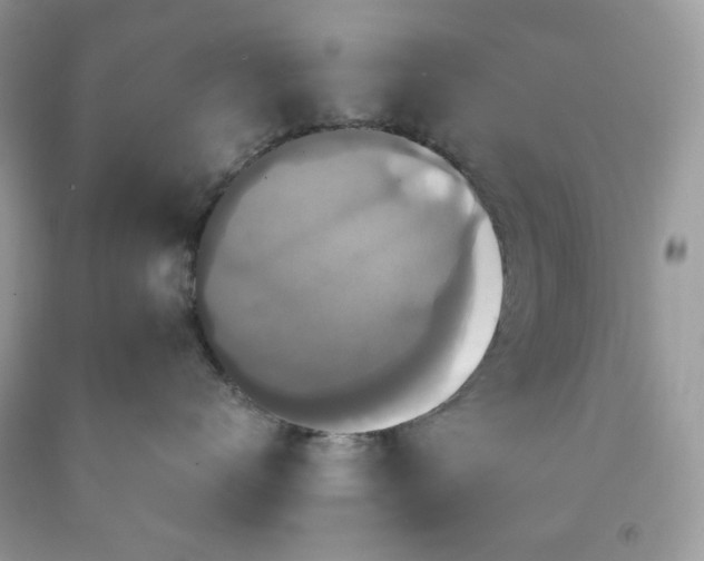 X0000091640672200709060939