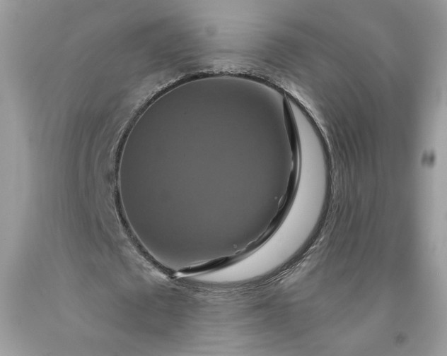 X0000091640673200709060938