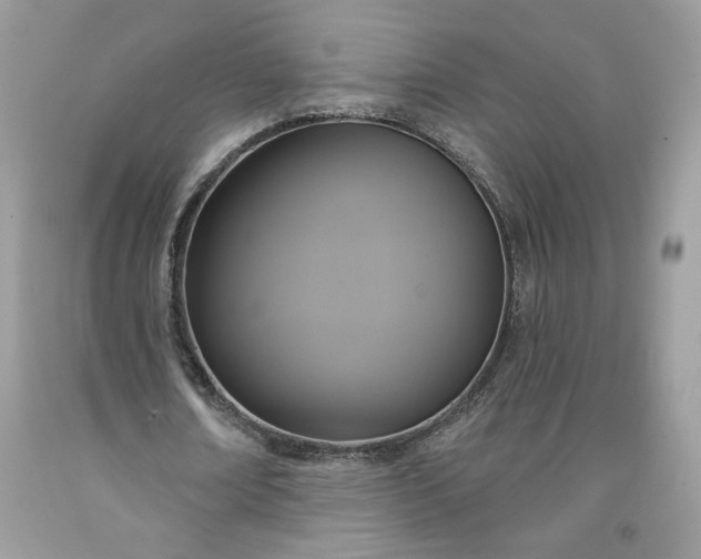 X0000091640674200709060938