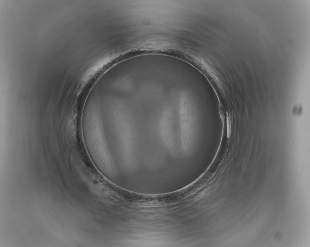 X0000091640675200709060938