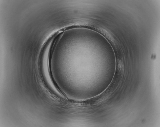 X0000091640676200709060938
