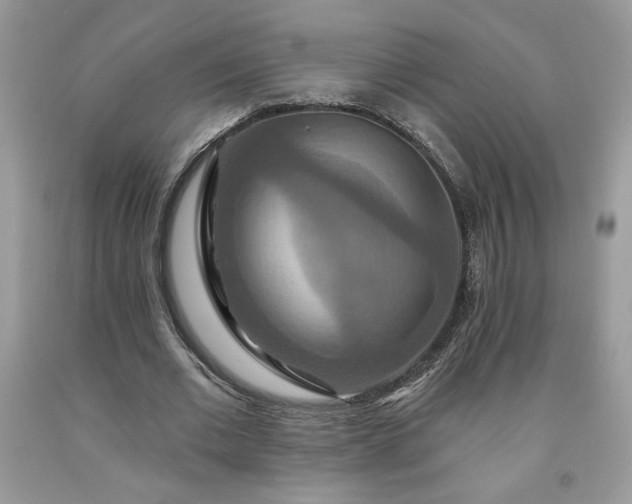 X0000091640677200709060938