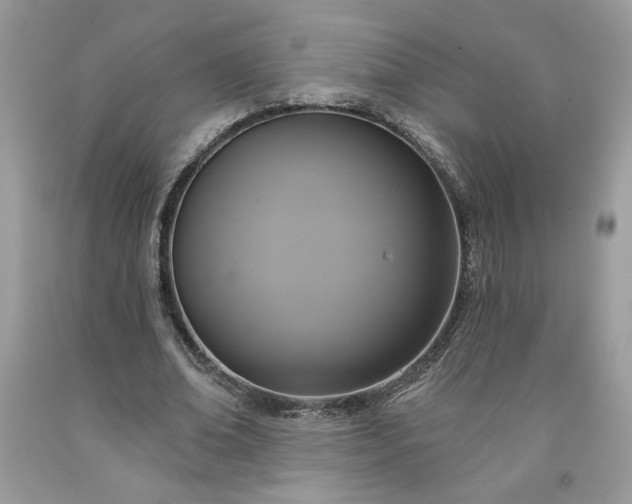 X0000091640678200709060938