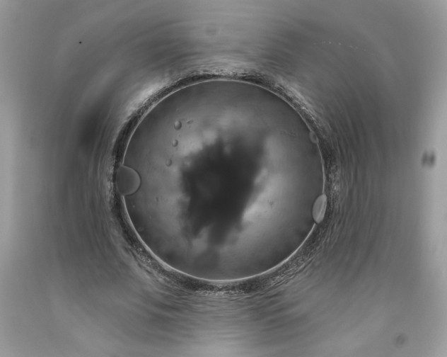 X0000091640679200709060938