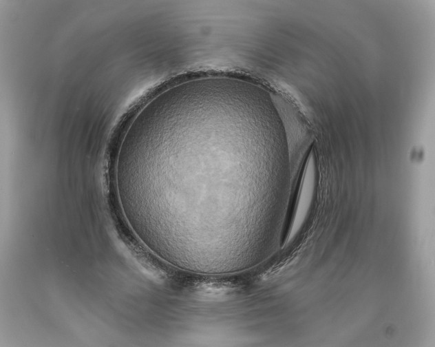 X0000091640680200709060938