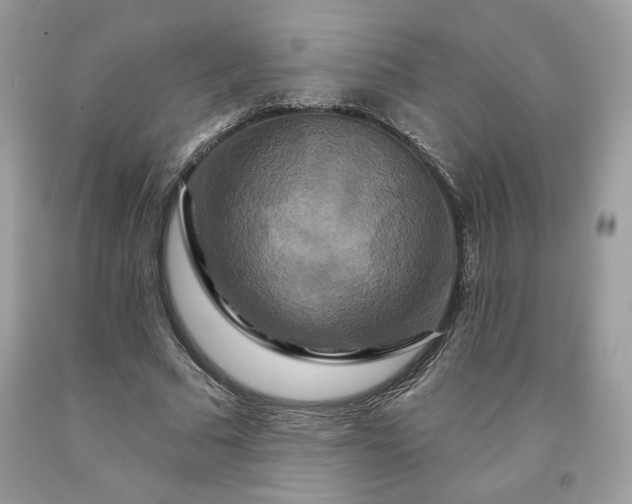 X0000091640681200709060938