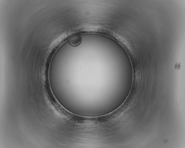 X0000091640682200709060938