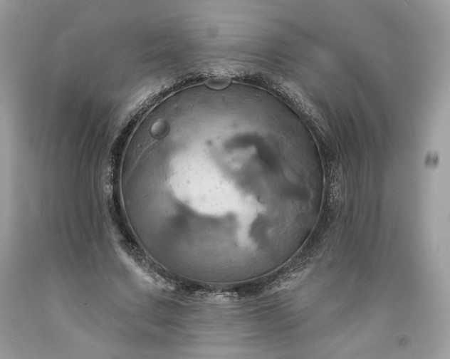 X0000091640683200709060938