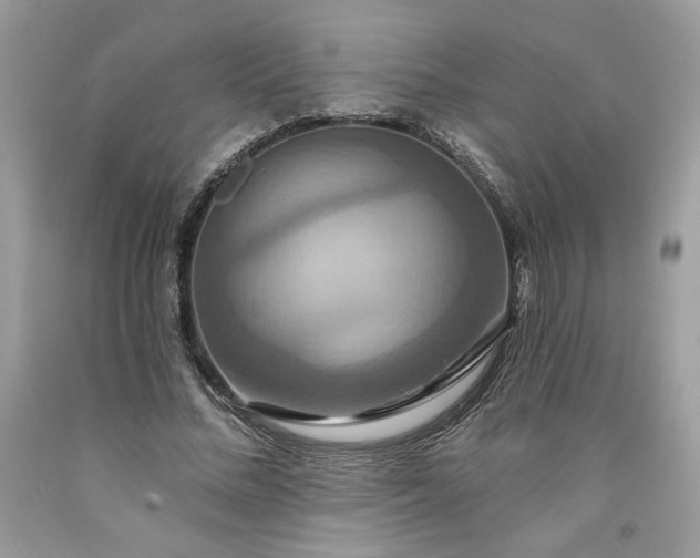 X0000091640684200709060938