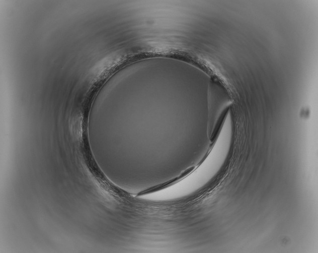 X0000091640685200709060938
