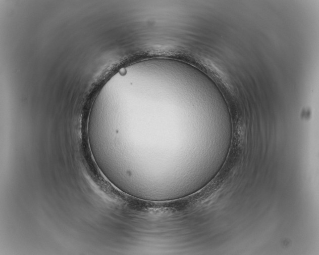 X0000091640686200709060938
