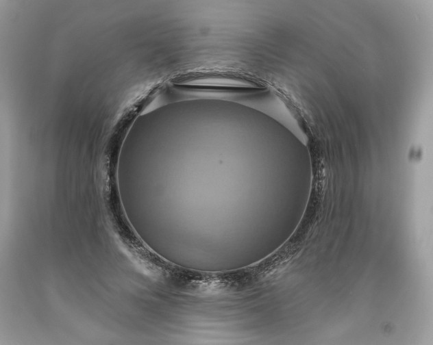 X0000091640688200709060938