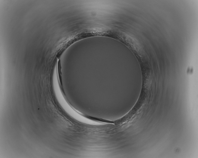 X0000091640689200709060938