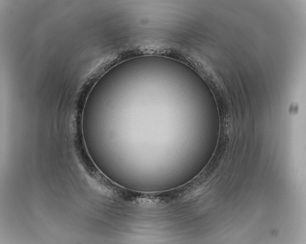 X0000091640690200709060938