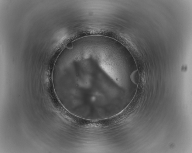 X0000091640691200709060938