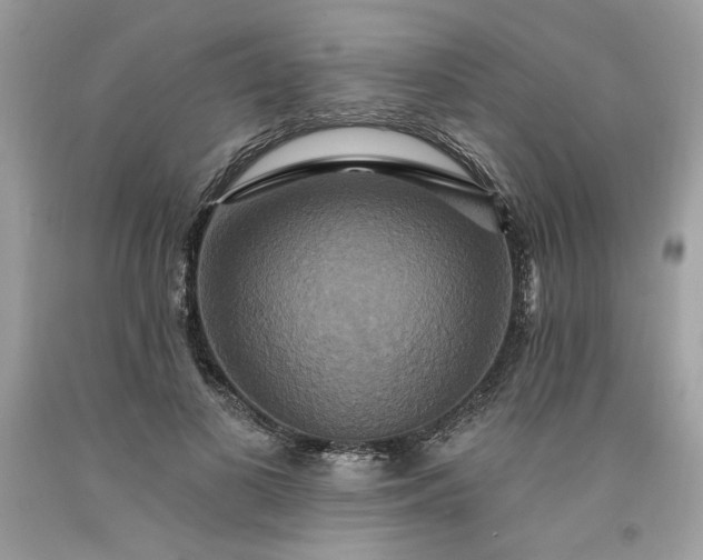X0000091640693200709060938