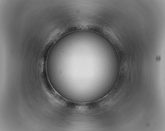 X0000091640694200709060938