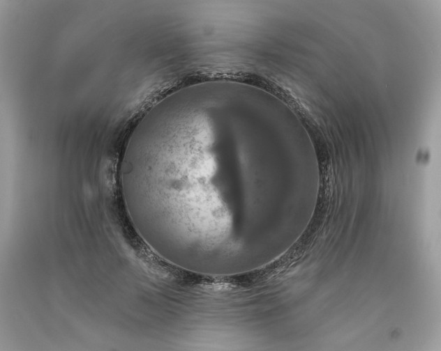 X0000091640695200709060938
