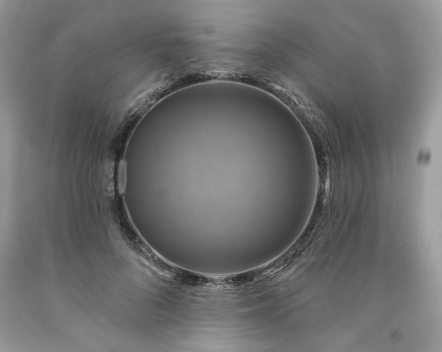 X0000091640696200709060938