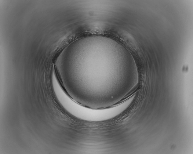 X0000091640697200709060938